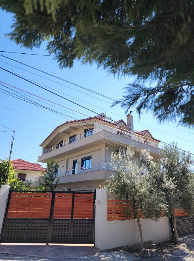 Modern Apartment By Ceni, Elbasan Kültér fotó